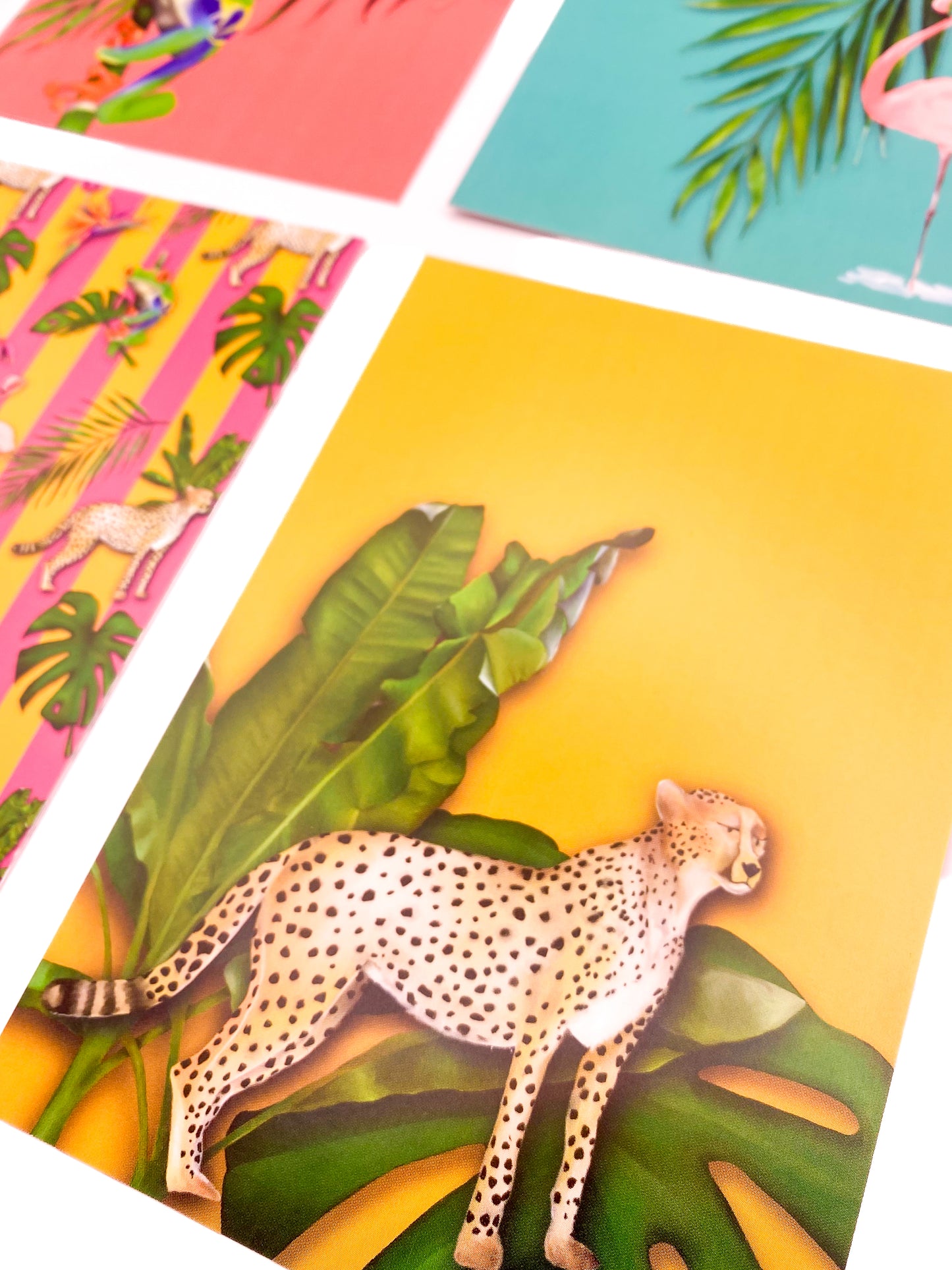 Bright tropical postcards on a white background by Jack & Orla