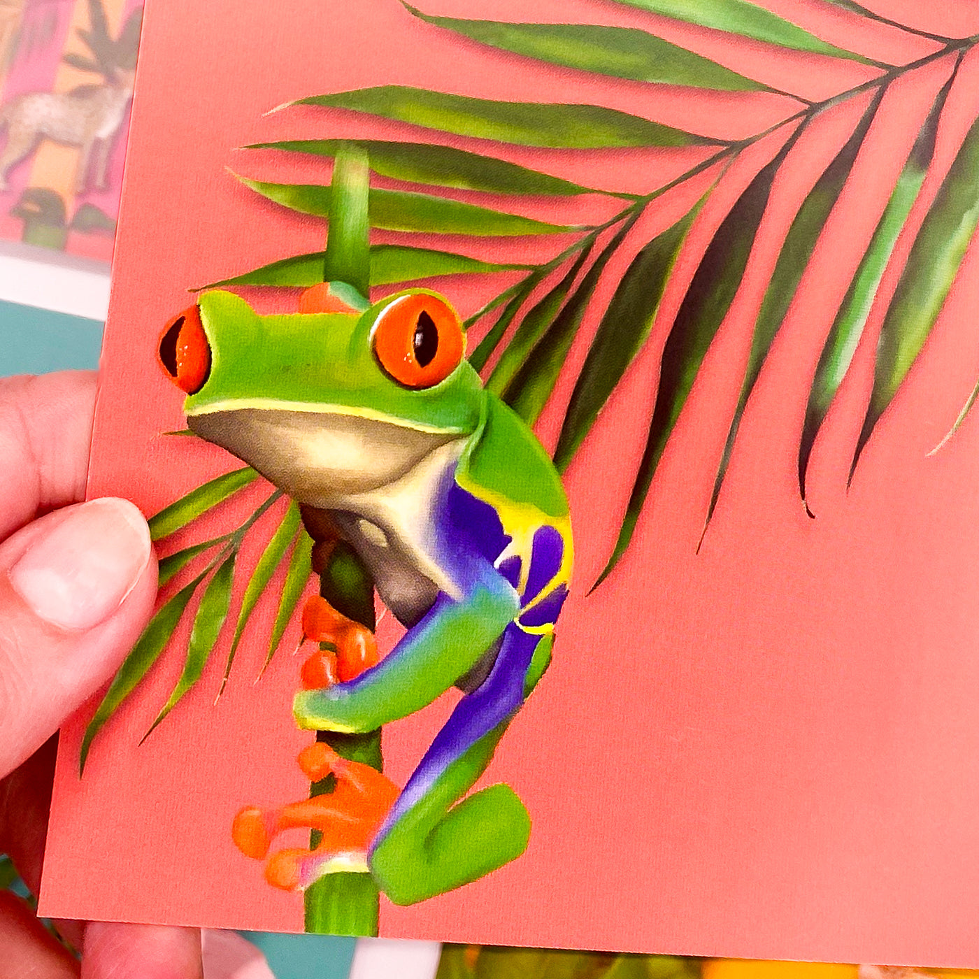 Close up image of a tropical frog and palm leaf on a red postcard by Jack & Orla