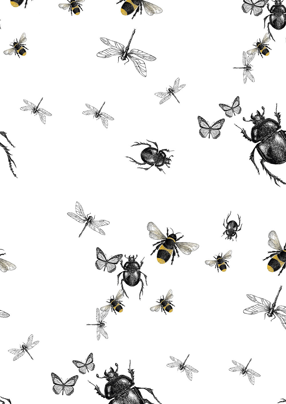 Entomology insect prints