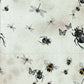 Entomology insect prints