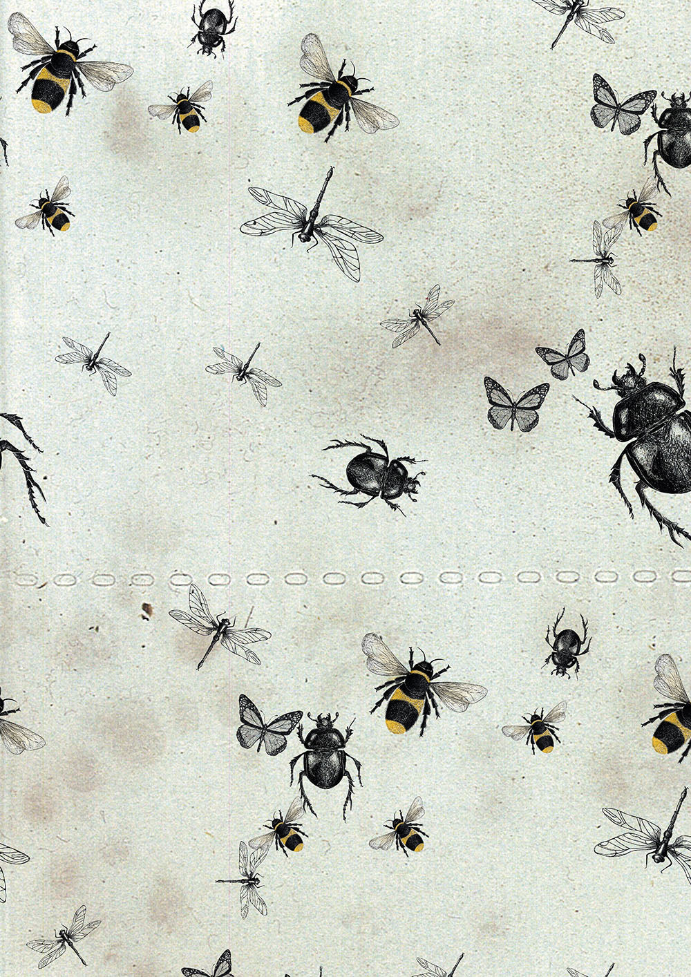 Entomology insect prints