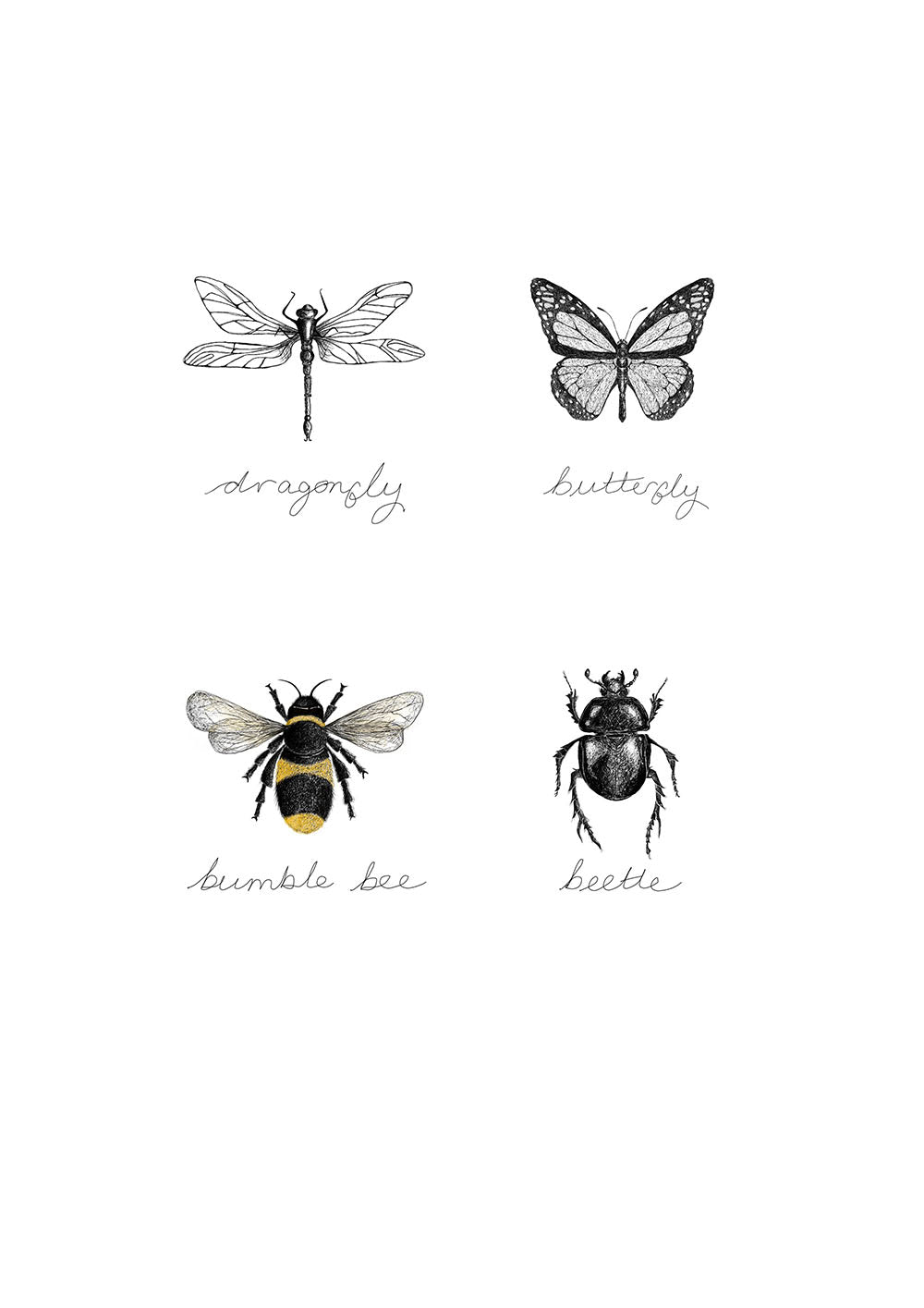 Entomology insect prints