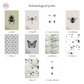 Entomology insect prints