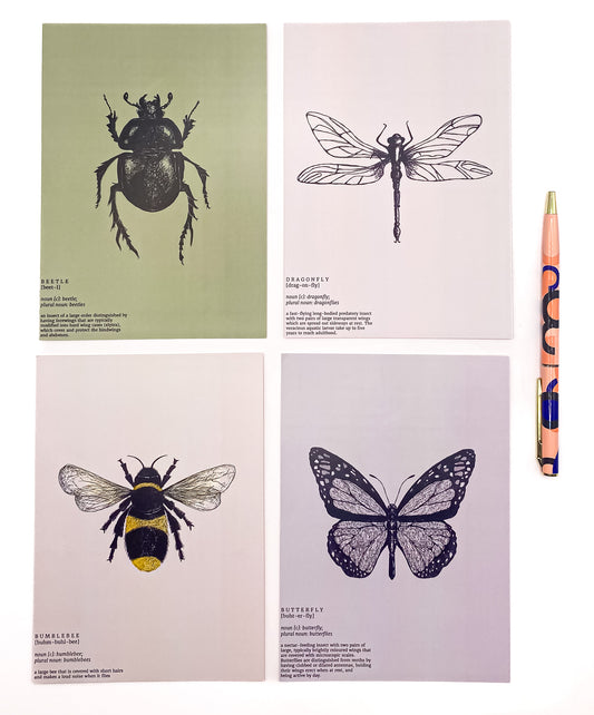 Insect entomology postcards on a white background by Jack & Orla