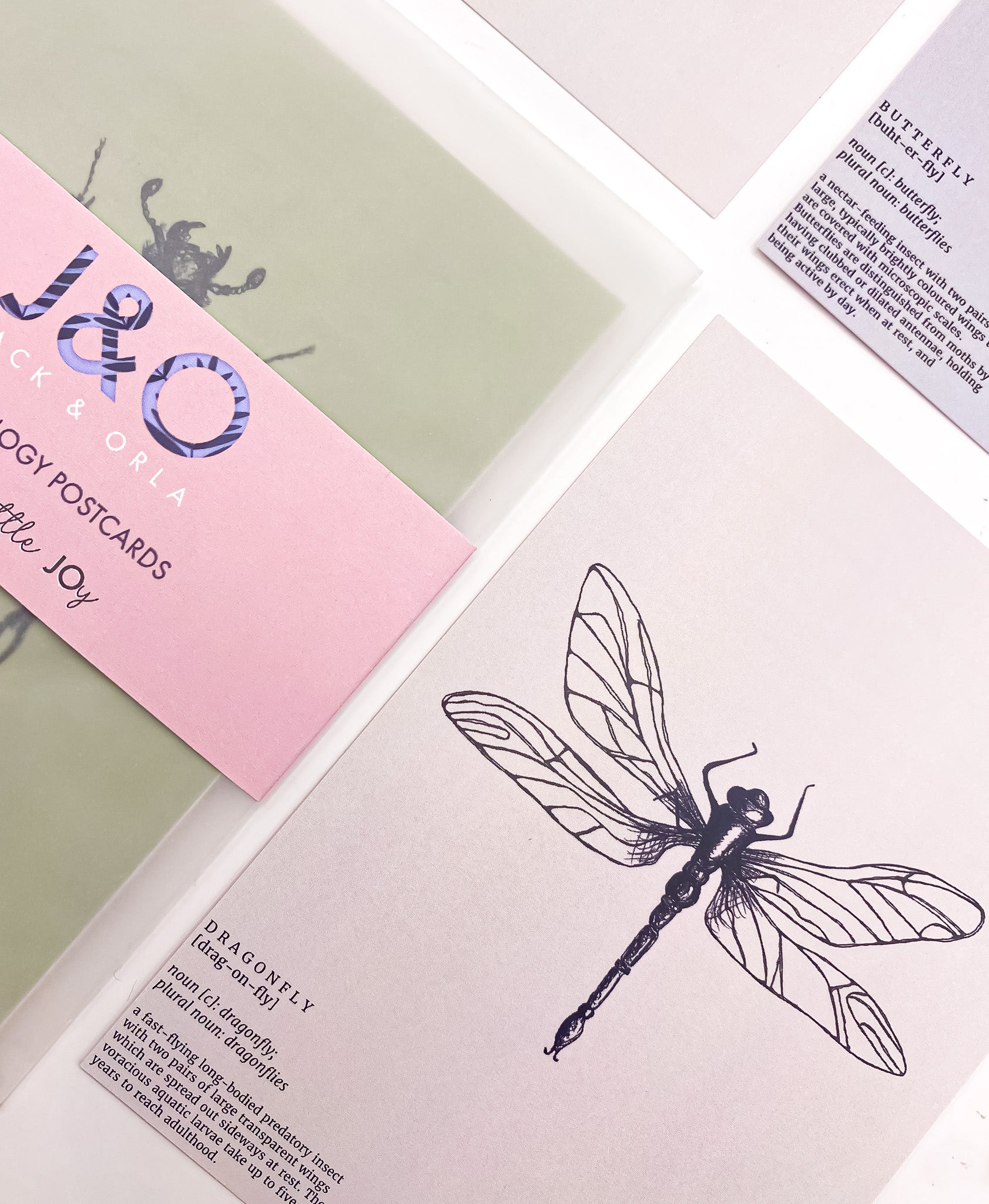 Close-up of insect entomology postcards by Jack & Orla