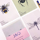 Close-up of insect entomology postcards by Jack & Orla