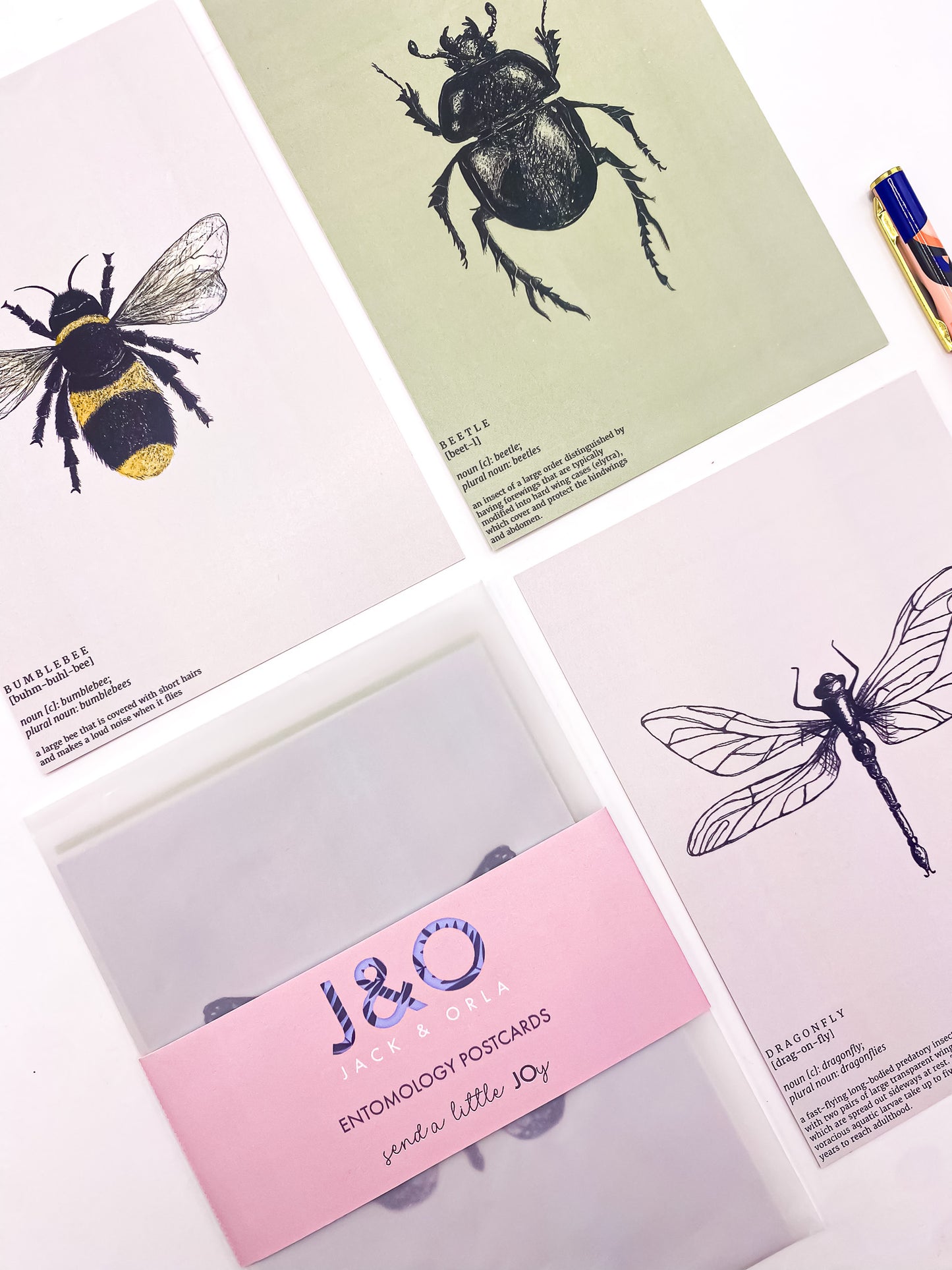 Close-up of insect entomology postcards by Jack & Orla