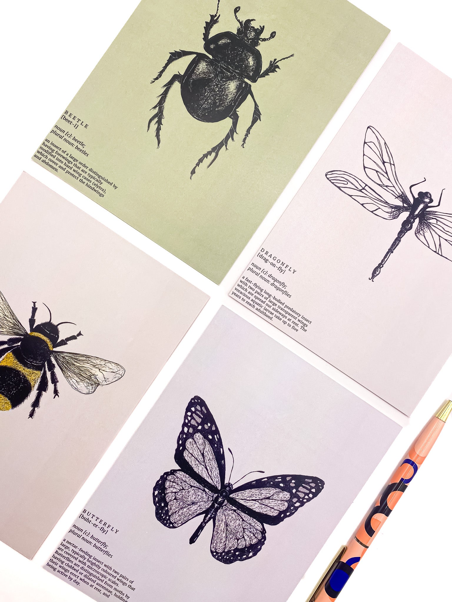 Insect entomology postcards on a white background by Jack & Orla