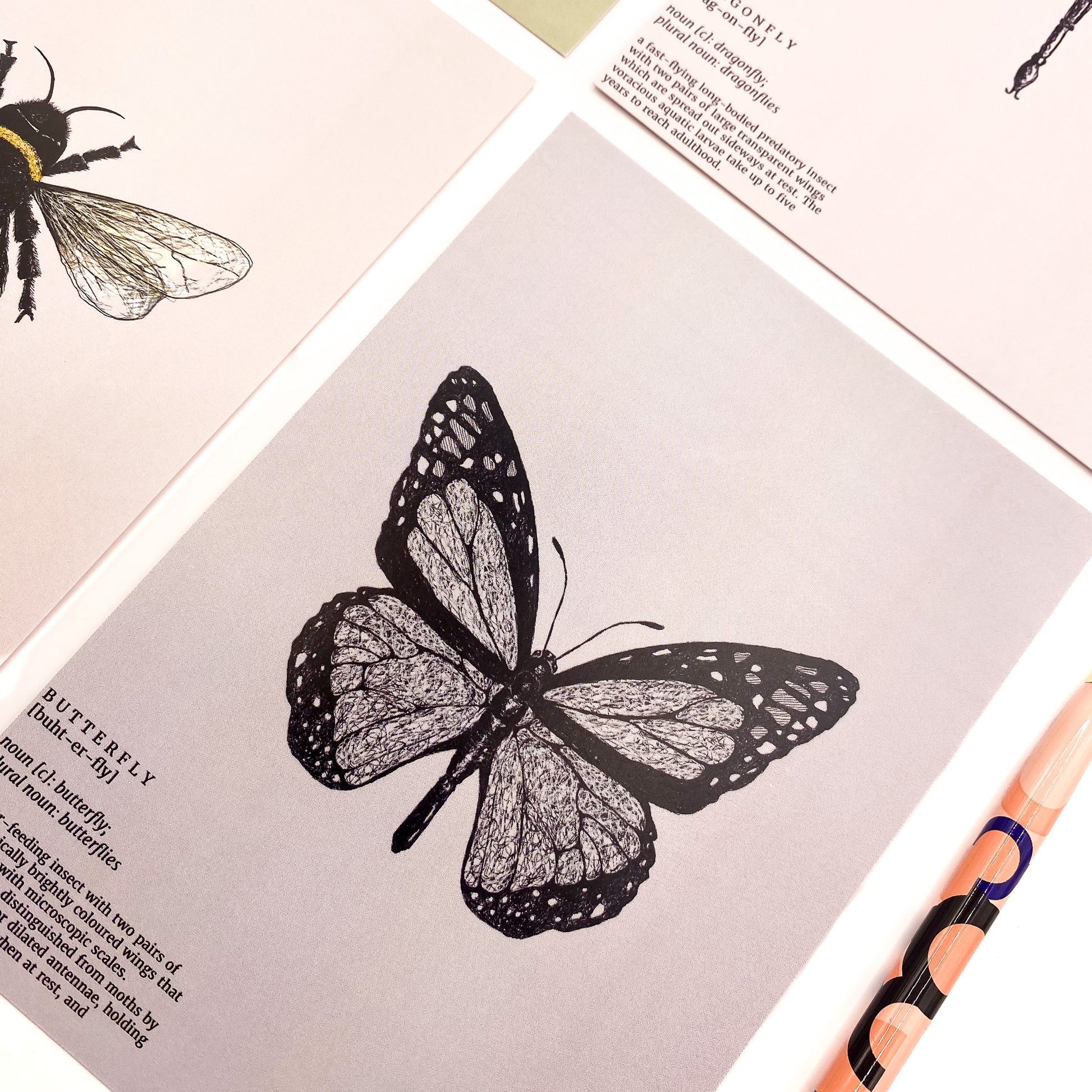 Close up image of an illustrated butterfly postcard on a neutral background by Jack & Orla