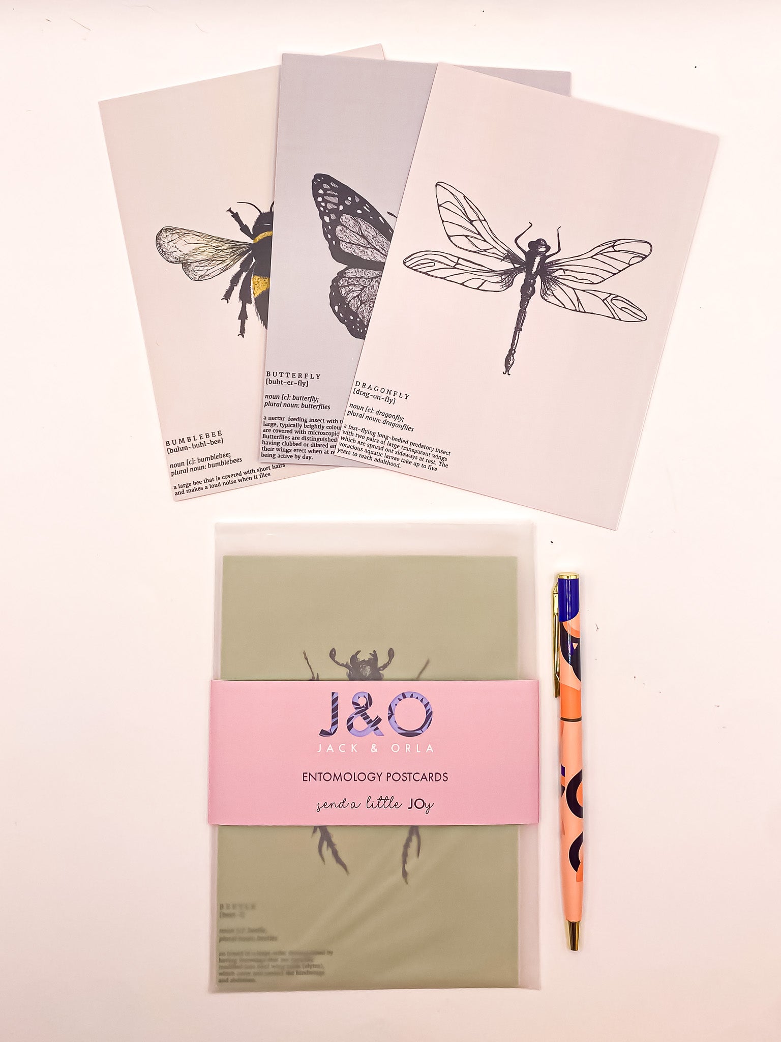 Insect entomology postcards on a white background by Jack & Orla