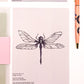 Close up of a dragonfly on a neutral postcard background by Jack & Orla