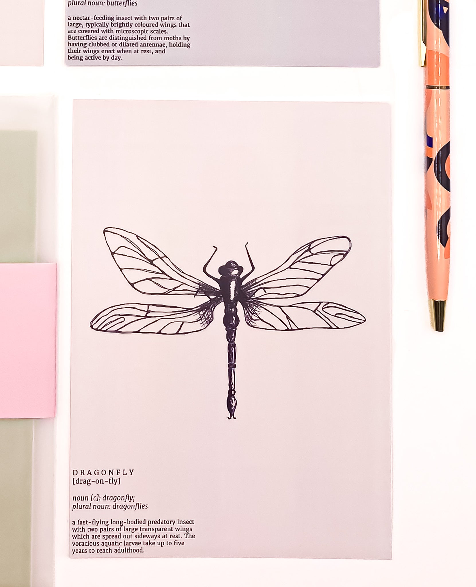 Close up of a dragonfly on a neutral postcard background by Jack & Orla