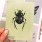 A hand holding a green beetle postcard above other postcards in the set by Jack & Orla