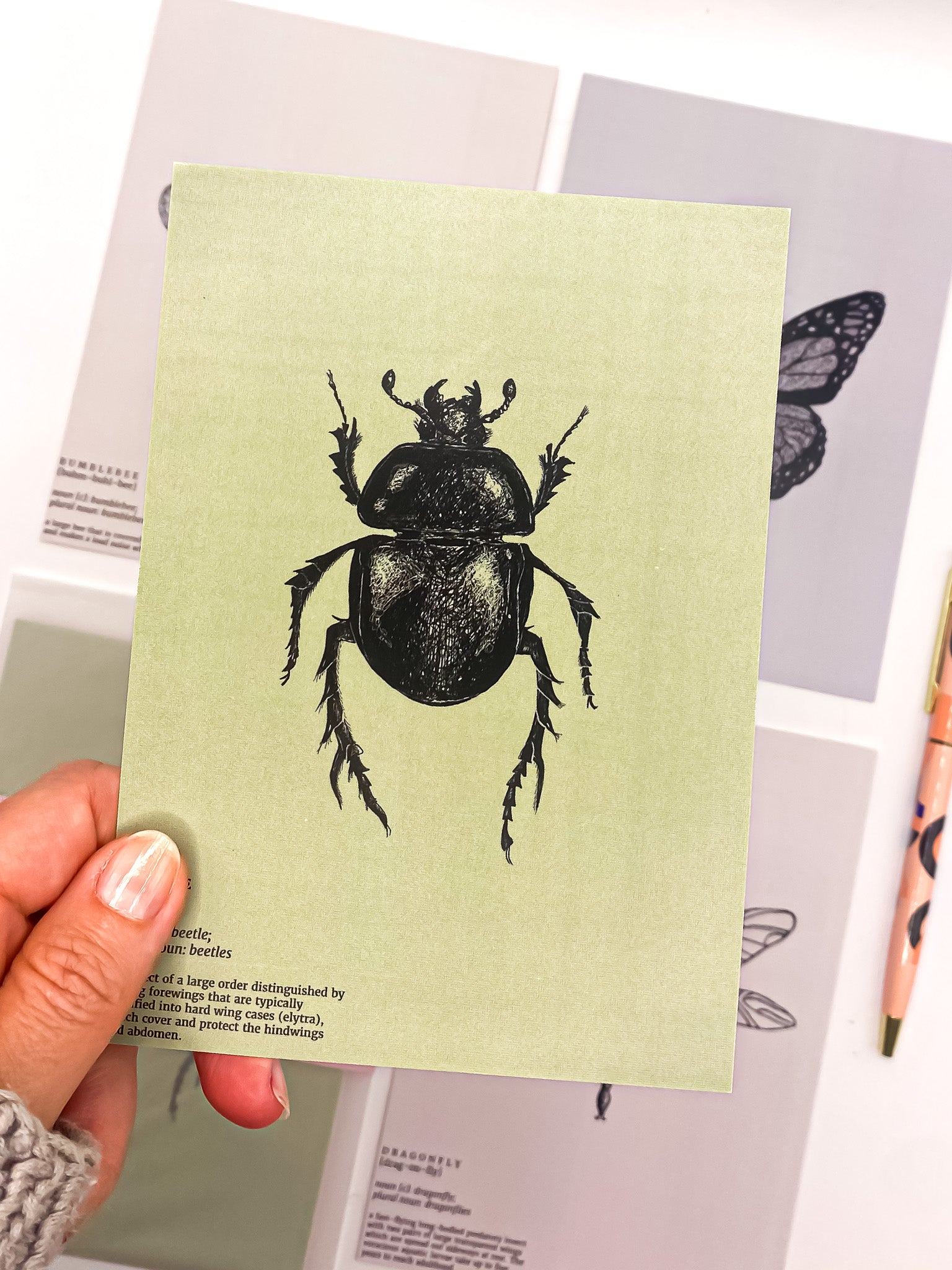 A hand holding a green beetle postcard above other postcards in the set by Jack & Orla