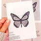 Hand holding a butterfly postcard above other postcards in the set by Jack & Orla