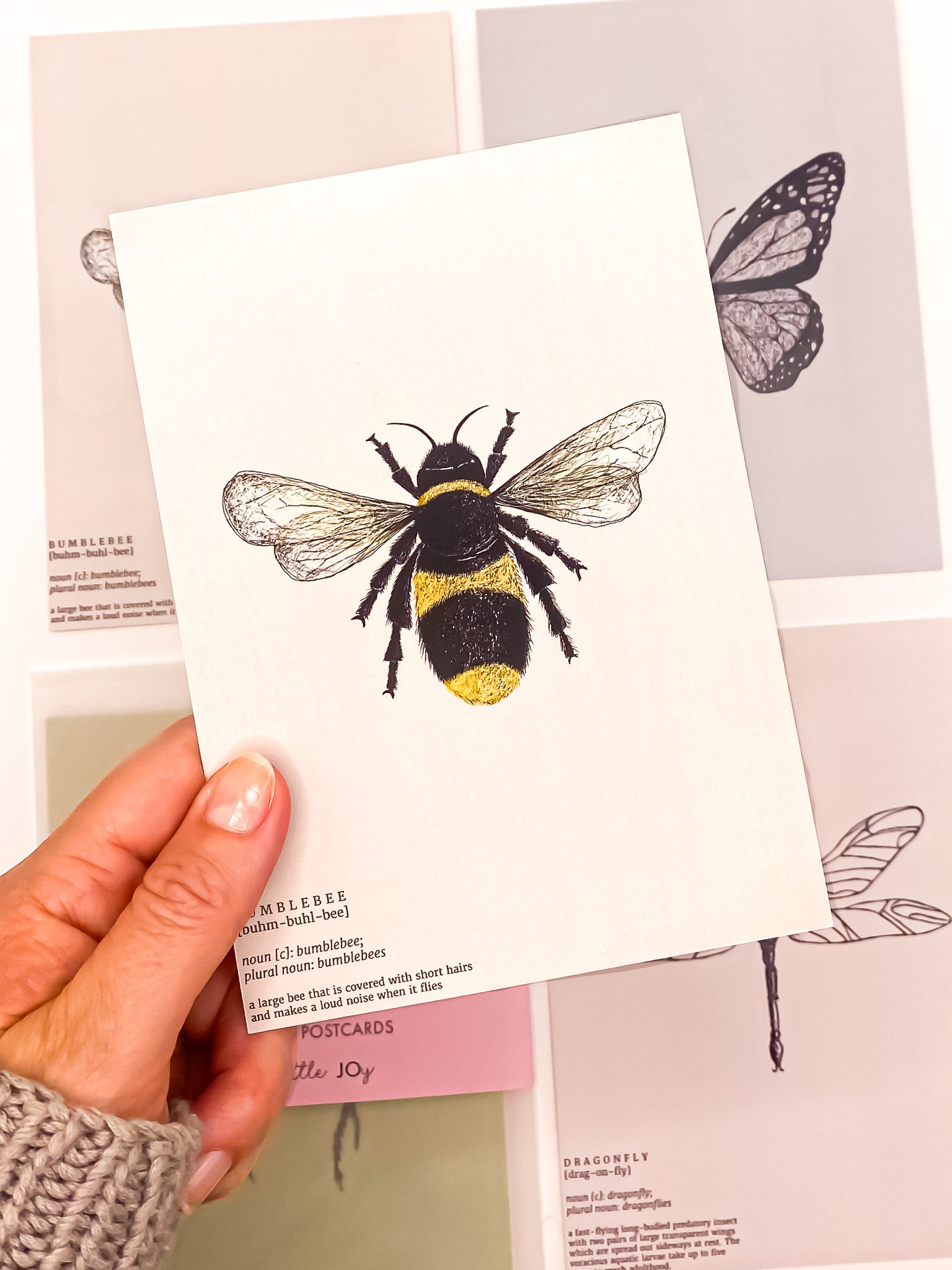 Close-up of bumblebee insect entomology postcard by Jack & Orla