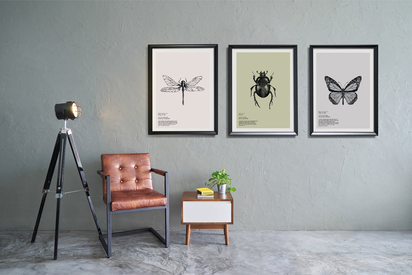 Entomology insect prints