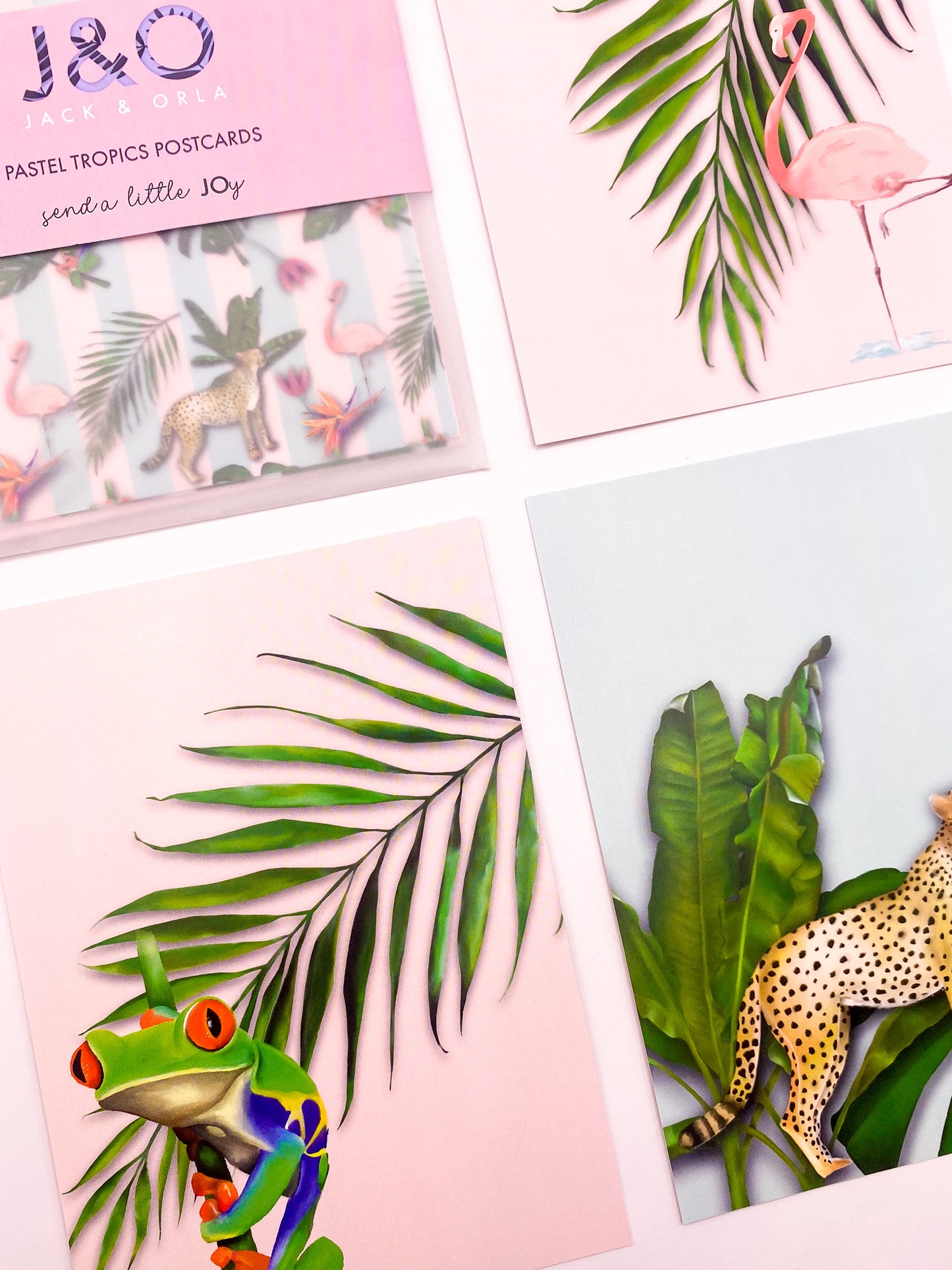 Close-up of pastel tropics postcards by Jack & Orla