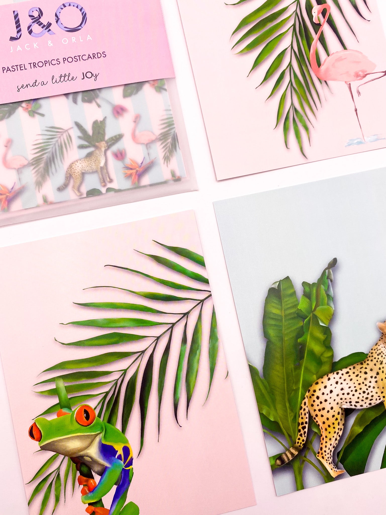 Close-up of pastel tropics postcards by Jack & Orla