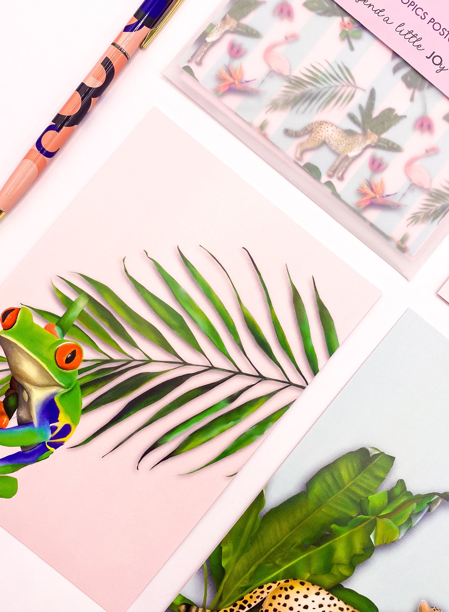 Close-up of pastel tropics postcards by Jack & Orla