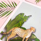 Close-up of pastel tropics postcards by Jack & Orla