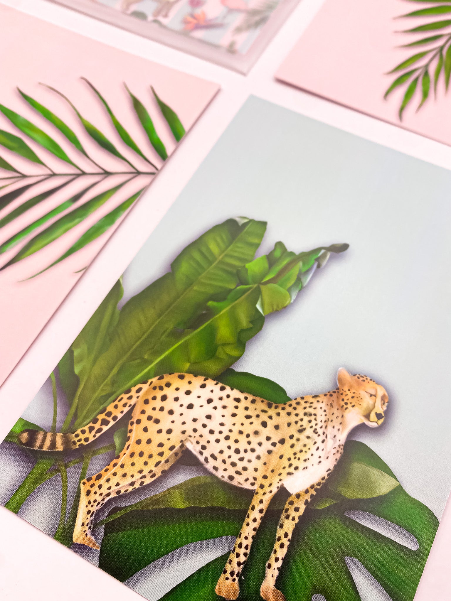 Close-up of pastel tropics postcards by Jack & Orla