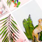 Close-up of pastel tropics postcards by Jack & Orla