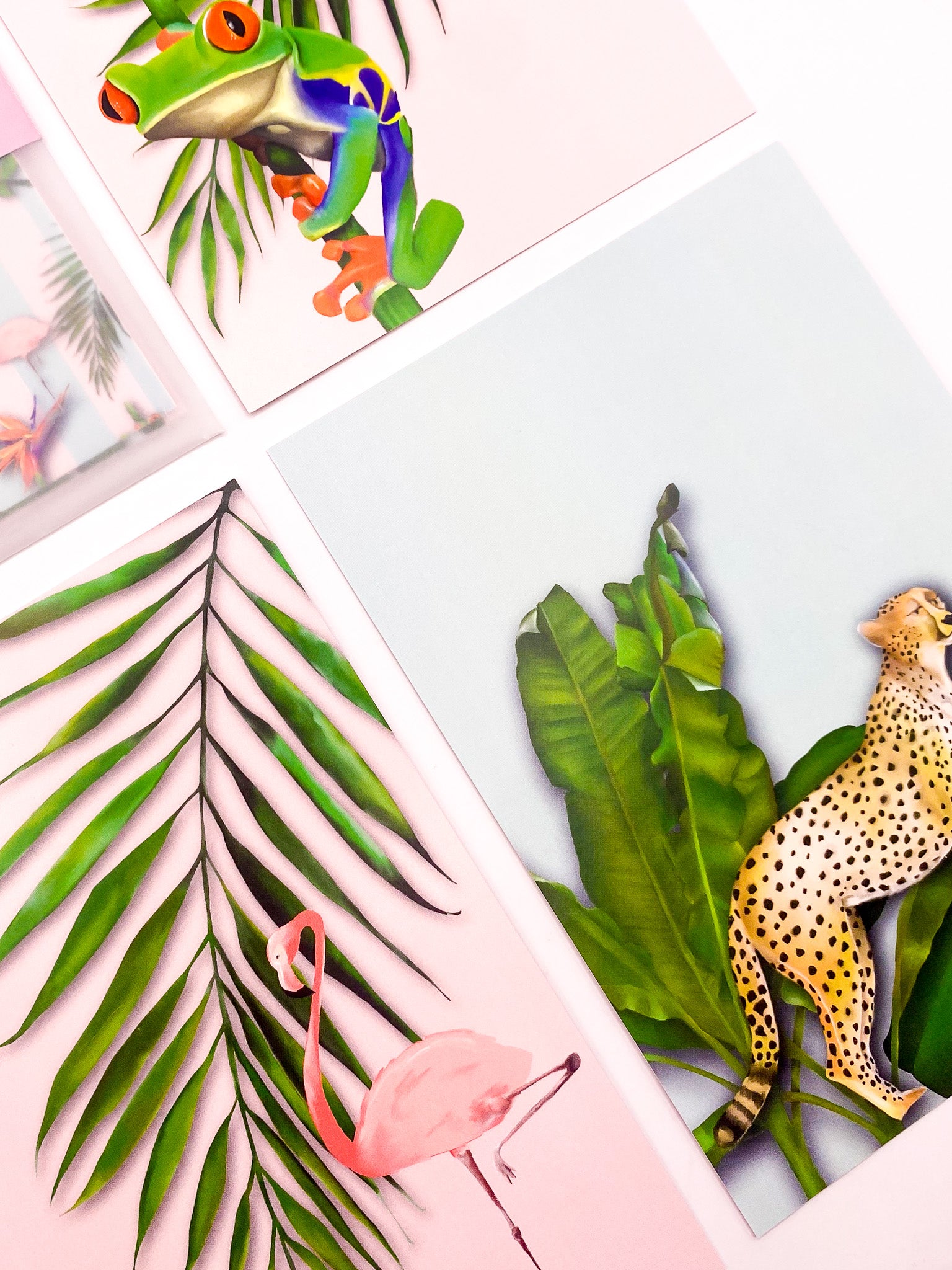 Close-up of pastel tropics postcards by Jack & Orla