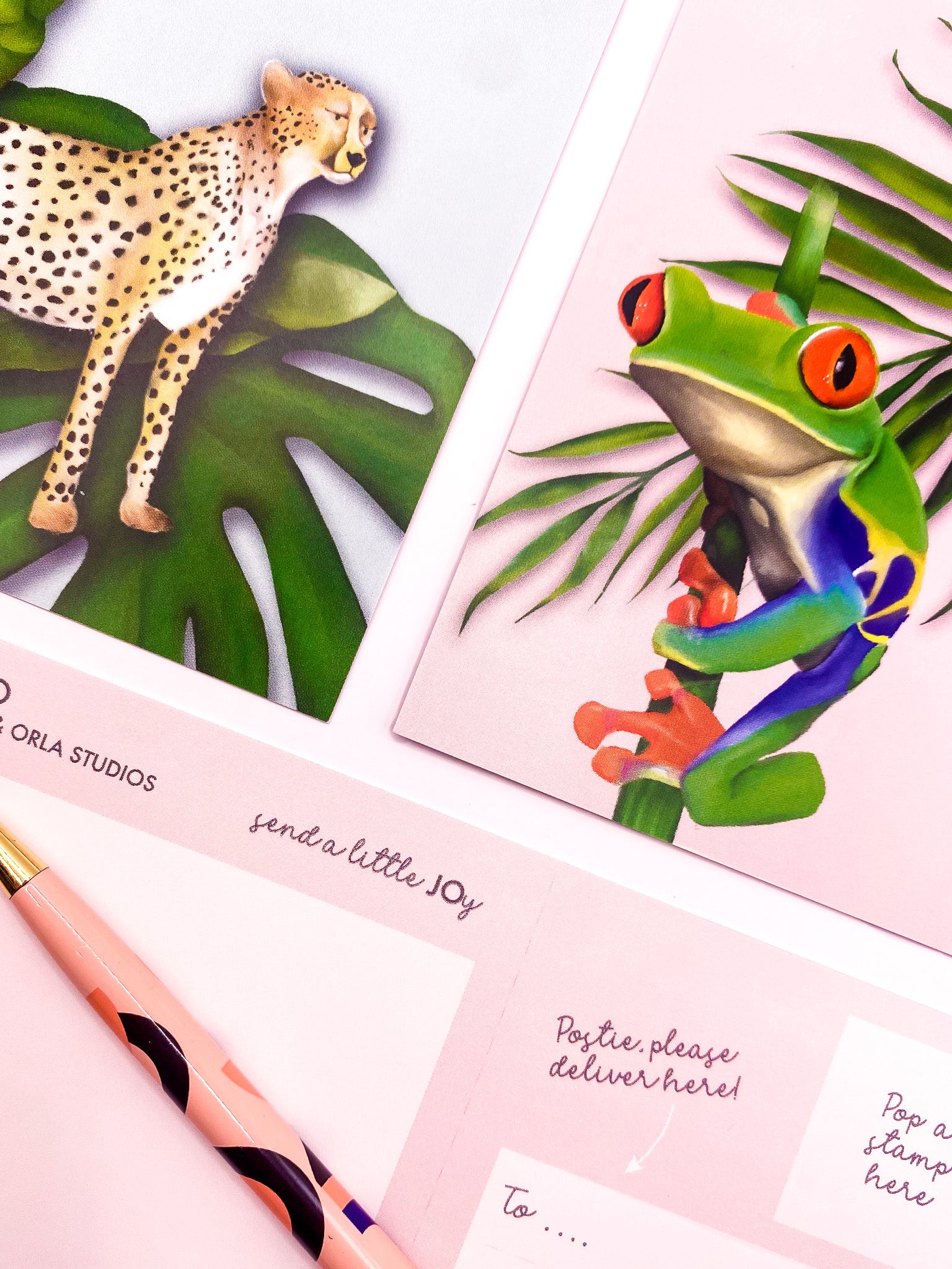 Close-up of pastel tropics postcards by Jack & Orla