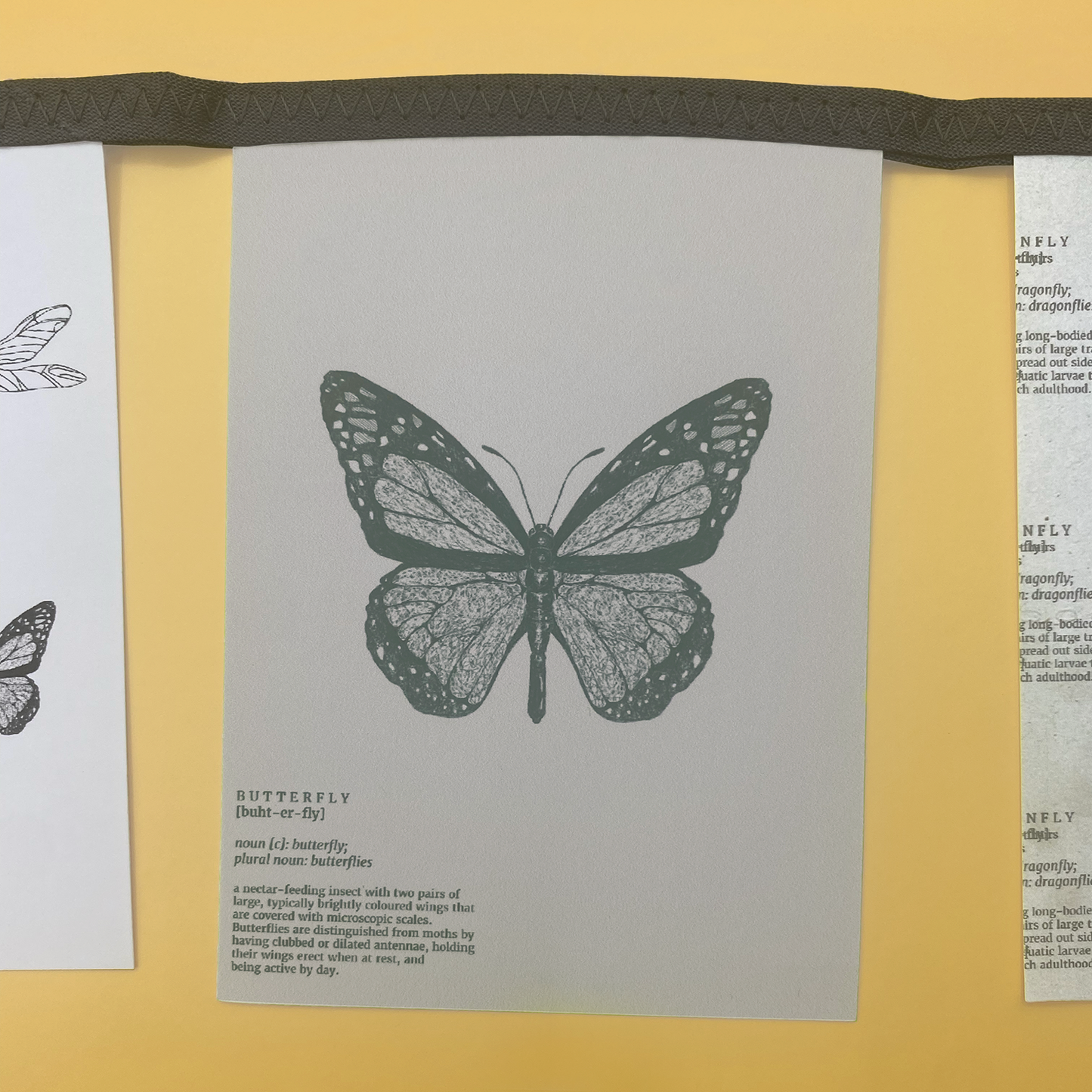 Entomology paper bunting set