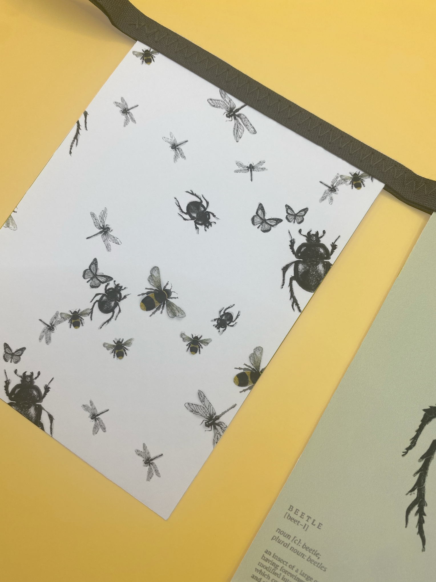 Entomology paper bunting set